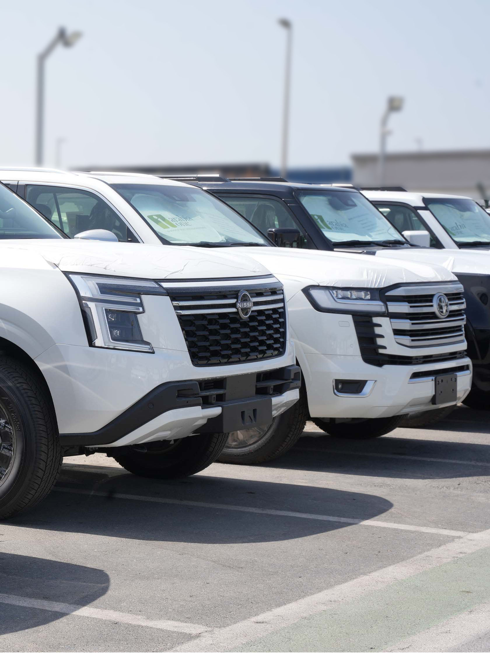 Expertise in the import